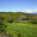  Un passeig per l'estany a la primavera - L'estany Turisme Rural casa l'hereu
