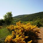  La primavera - El poble Turisme Rural casa l'hereu