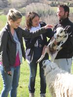  Turisme Rural casa l'hereu  :: ANIMALS DE LA CASA RURAL - 