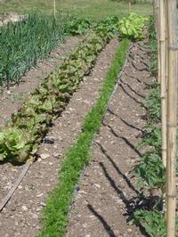  Turisme Rural casa l'hereu  :: L'HORT DE CASA L'HEREU - 