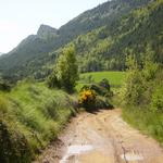  Serra de Peracalç, davant del poble de Montcortès. - El poble Turisme Rural casa l'hereu