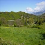  Els verds de la primavera. - L'estany Turisme Rural casa l'hereu