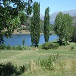  L'estany a l'estiu. - L'estany Turisme Rural casa l'hereu