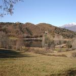  Els marrons. - L'estany Turisme Rural casa l'hereu