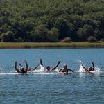  Un plaer i una diversió. - L'estany a l'estiu Turisme Rural casa l'hereu