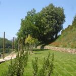  Jardí - El Jardí Turisme Rural casa l'hereu