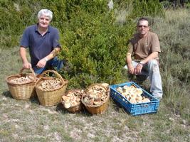  Turisme Rural casa l'hereu  ::  RECOLLIDA DE BOLETS, CAÇA I PESCA - 