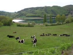   - Activitats i Lleure Turisme Rural casa l'hereu