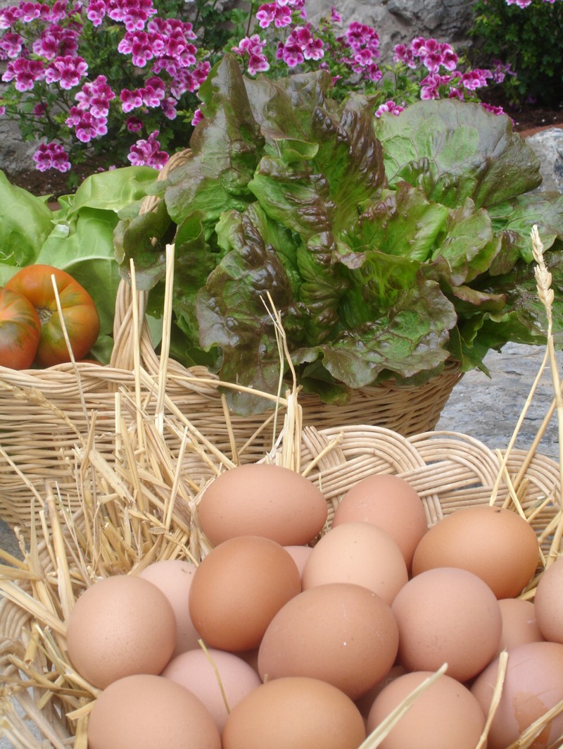  Detall dels ous i les verdures de la casa. - L'hort i el Corral Turisme Rural casa l'hereu