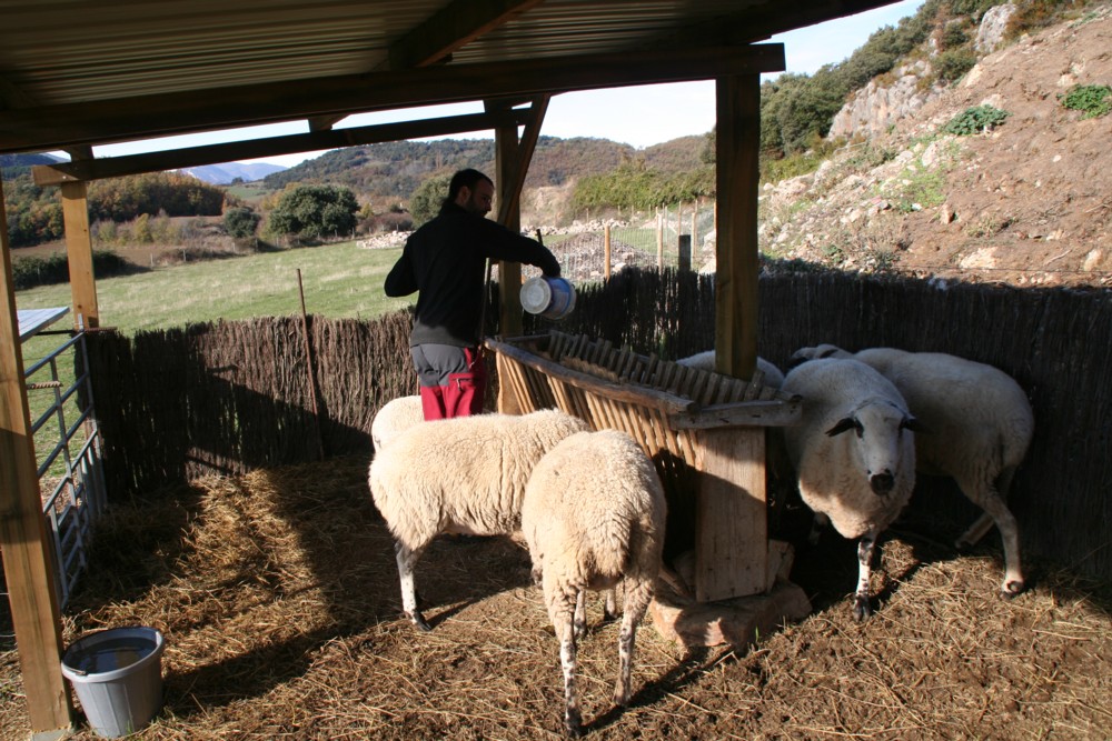   - Visita els animals del corral Turisme Rural casa l'hereu