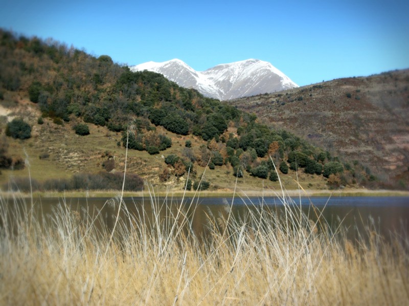 Els joncs durant l'hivern amb muntanyes de la Vall Fosca al fons. - L'estany Turisme Rural casa l'hereu