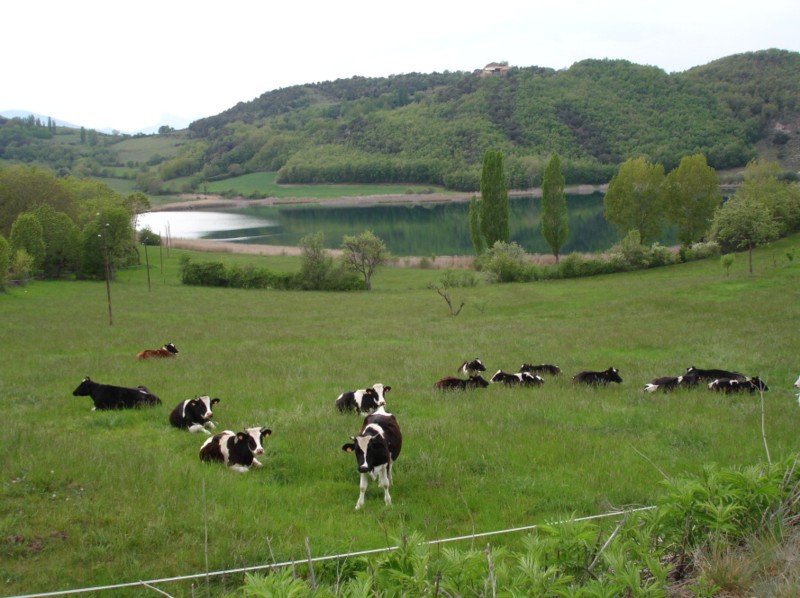  Estany de Montcortès a 200m de la casa - Benvinguts al Pallars Sobirà Turisme Rural casa l'hereu